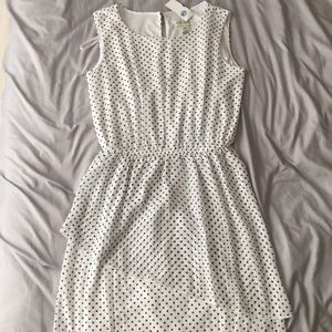 Enfocus Studio Sleeveless Polka Dress